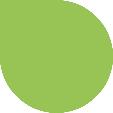 Pingo-1